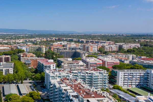 探究“雙碳目標”實現(xiàn)的政策協(xié)同路徑！